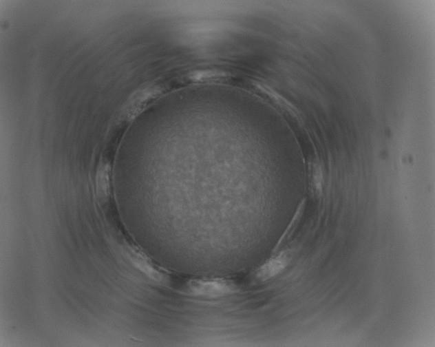 X0000070370475200606231652