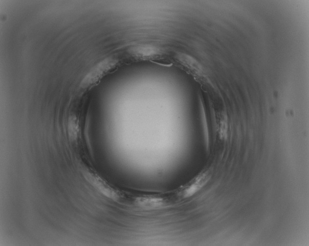 X0000070370476200606231652