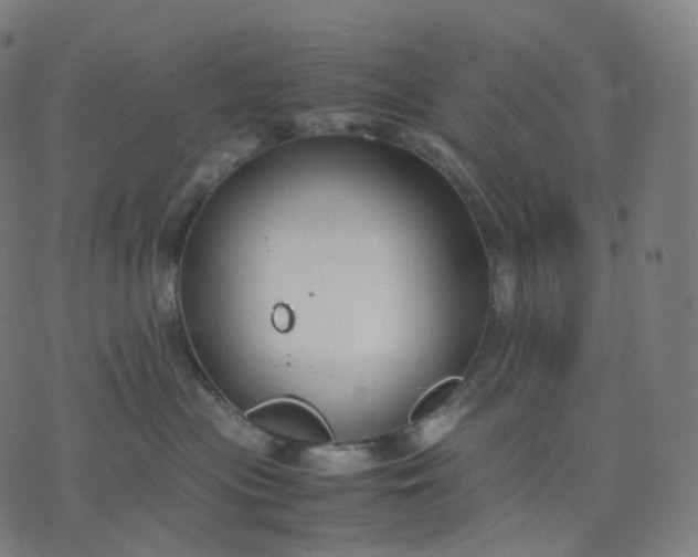 X0000070370477200606231652