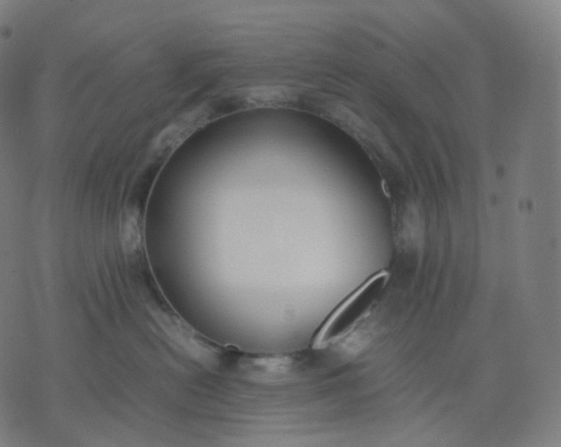 X0000070370478200606231652