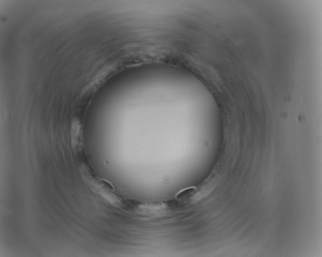 X0000070370480200606231652