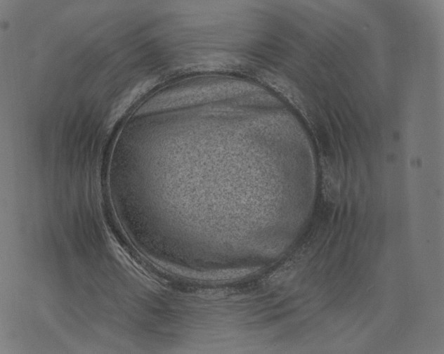 X0000070370482200606231651