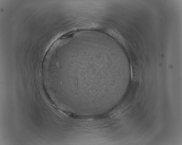 X0000070370483200606231651