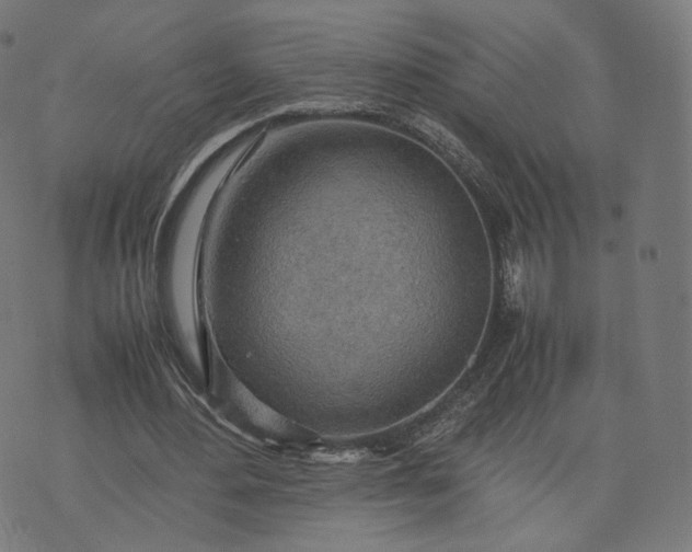 X0000070370484200606231651