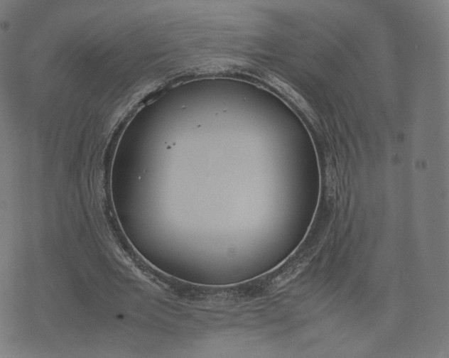 X0000070370485200606231651