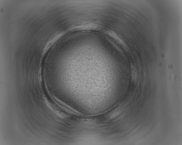 X0000070370486200606231651