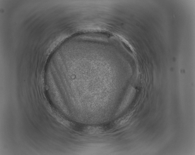 X0000070370487200606231651