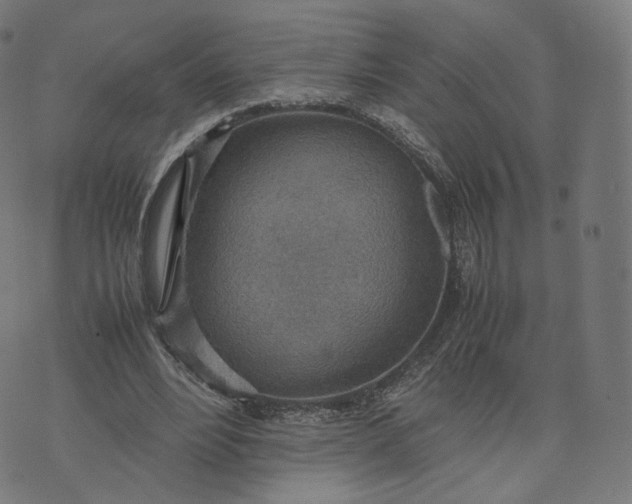 X0000070370488200606231651