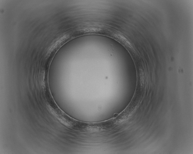 X0000070370490200606231651