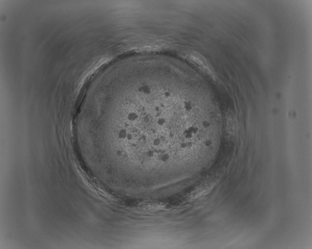 X0000070370491200606231651