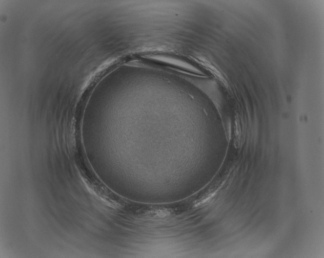 X0000070370492200606231651