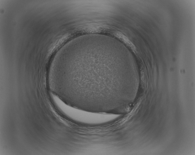 X0000070370493200606231651