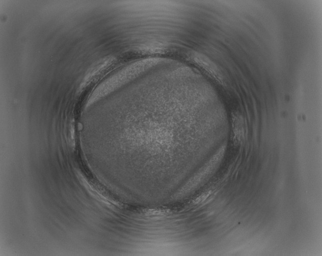 X0000070370494200606231651