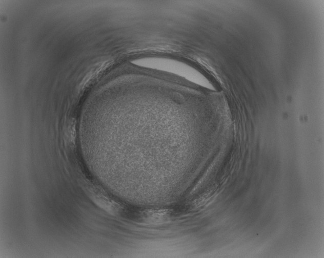 X0000070370495200606231651