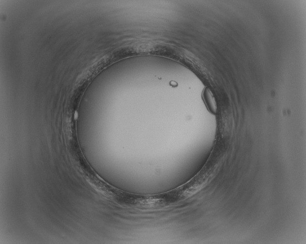 X0000070370497200606231651