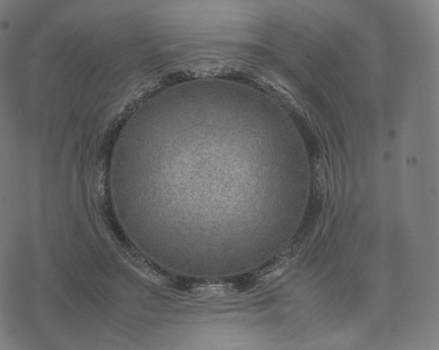 X0000070370499200606231651