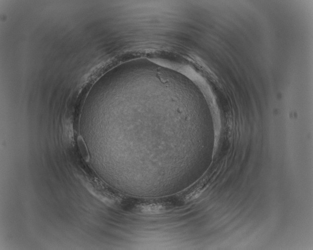 X0000070370500200606231651