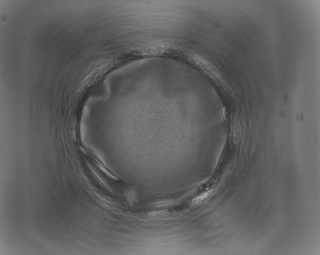 X0000070370501200606231651