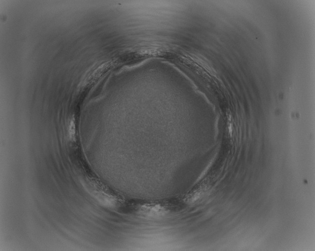 X0000070370502200606231651