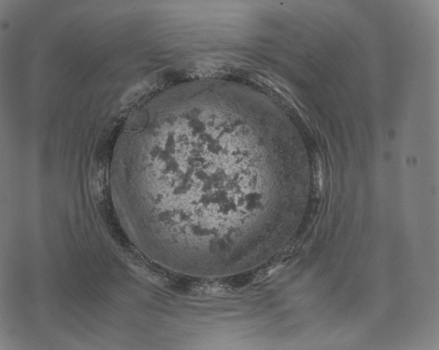 X0000070370503200606231651