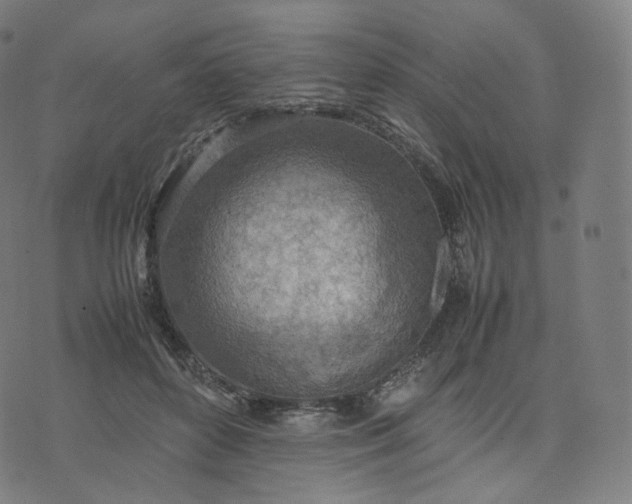 X0000070370504200606231651