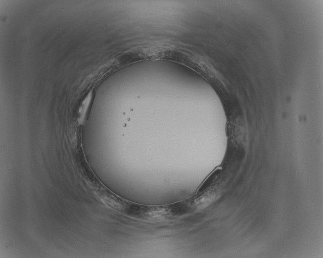 X0000070370505200606231651