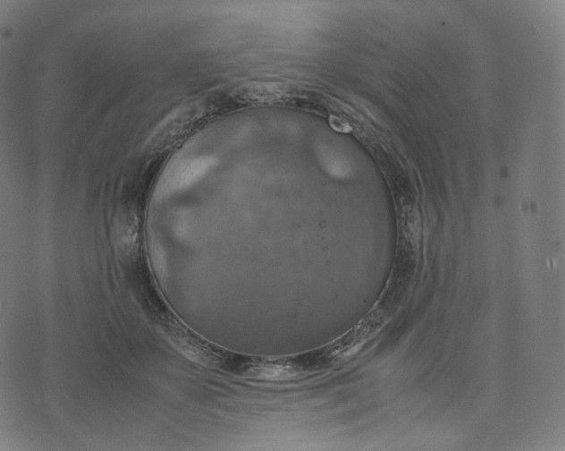 X0000070370507200606231651