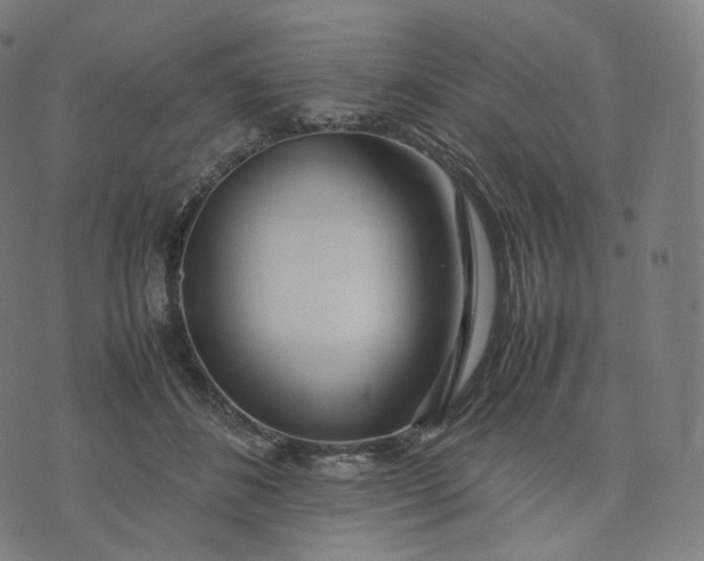 X0000070370508200606231651