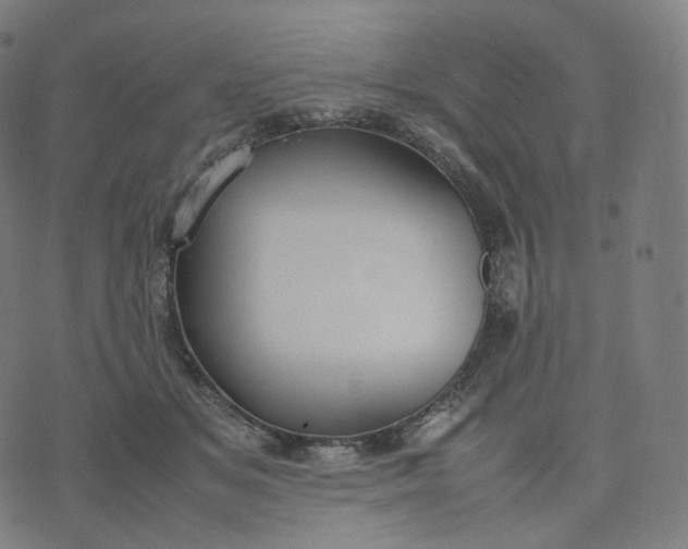 X0000070370509200606231651