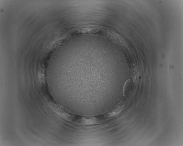 X0000070370510200606231651