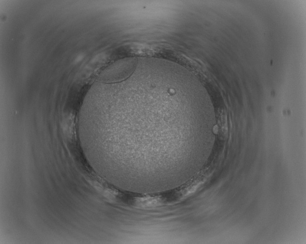 X0000070370511200606231651