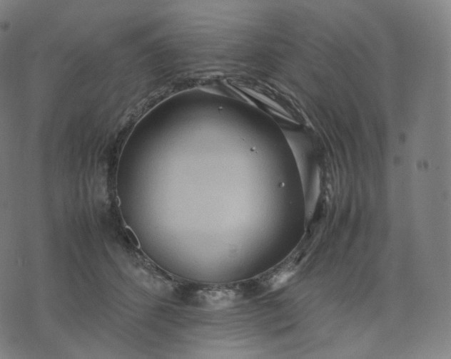 X0000070370512200606231650