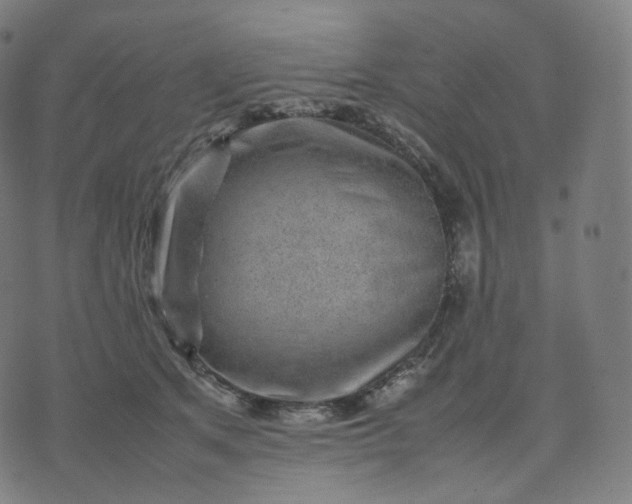 X0000070370513200606231650