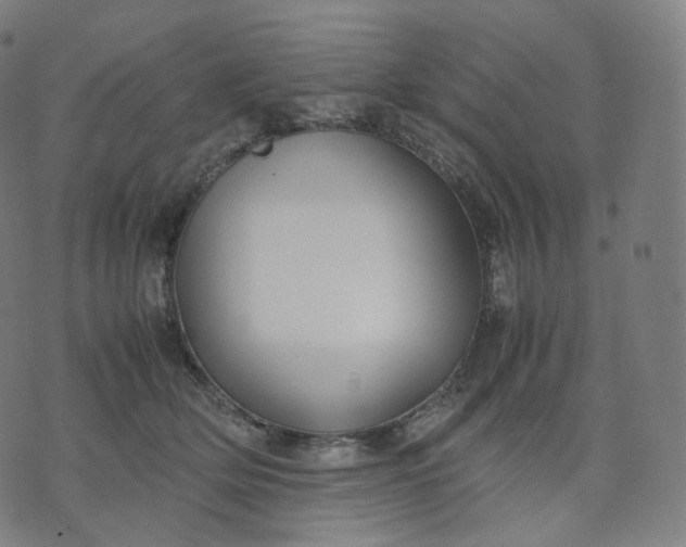 X0000070370514200606231650