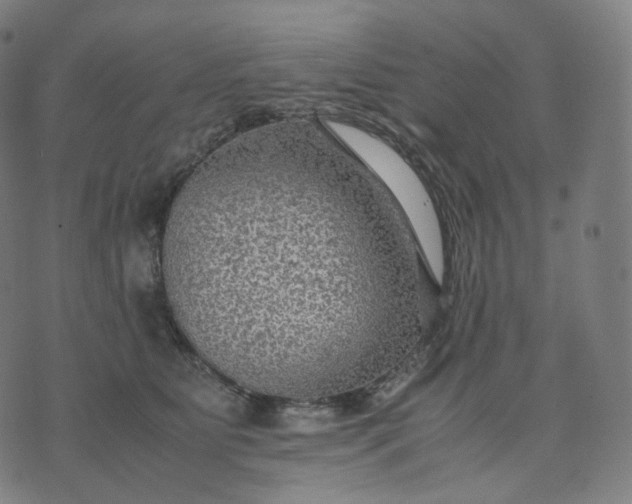 X0000070370515200606231650