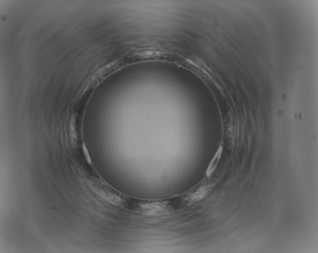 X0000070370516200606231650