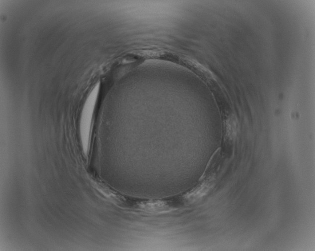 X0000070370517200606231650