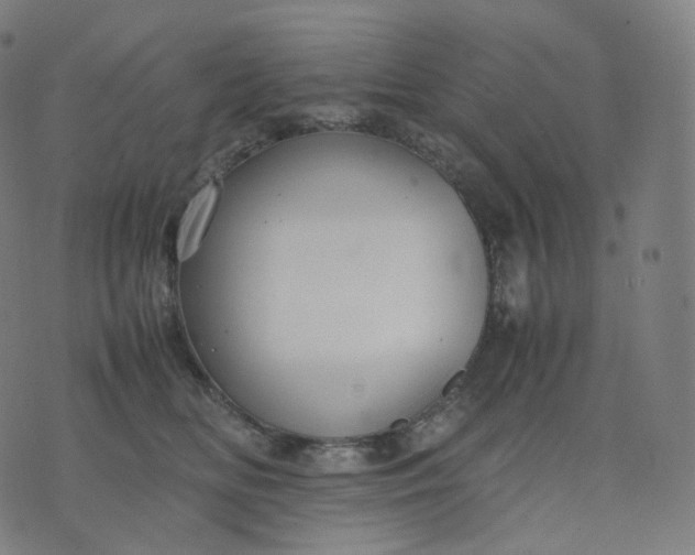 X0000070370518200606231650