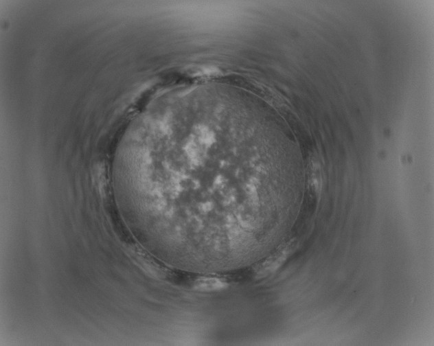 X0000070370519200606231650