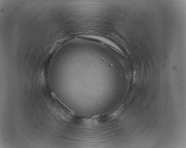 X0000070370520200606231650