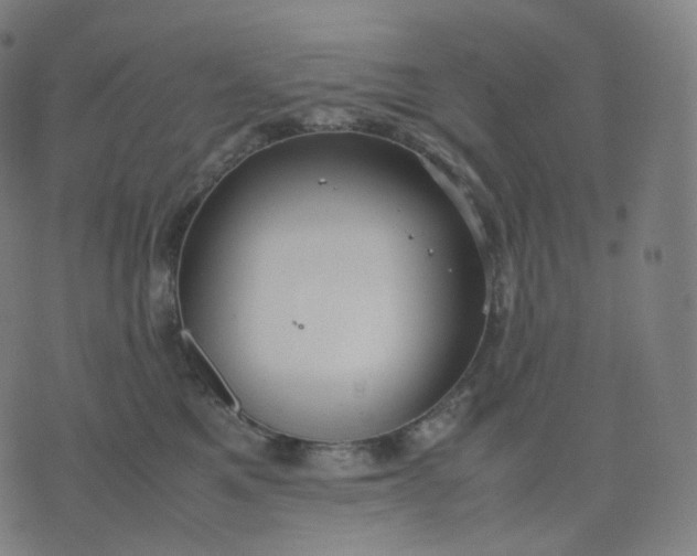 X0000070370521200606231650