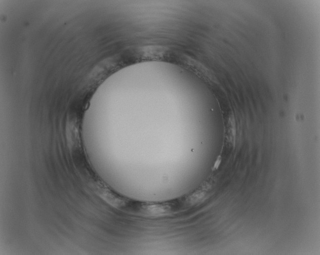 X0000070370522200606231650