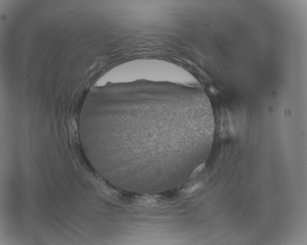 X0000070370523200606231650