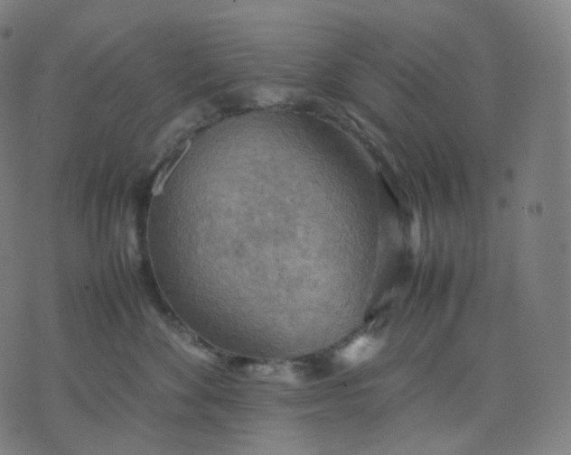 X0000070370524200606231650