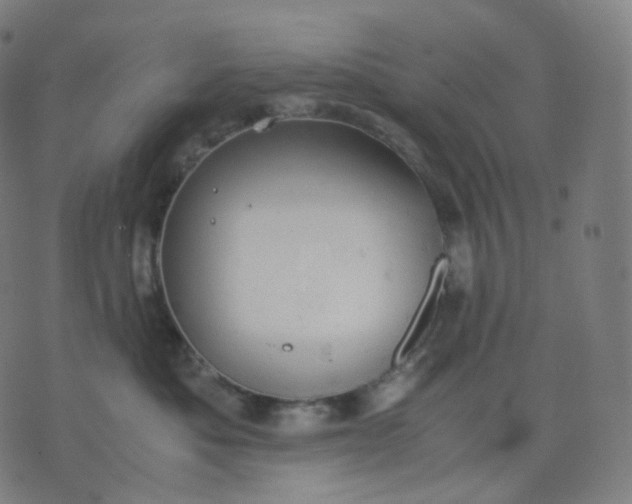 X0000070370525200606231650