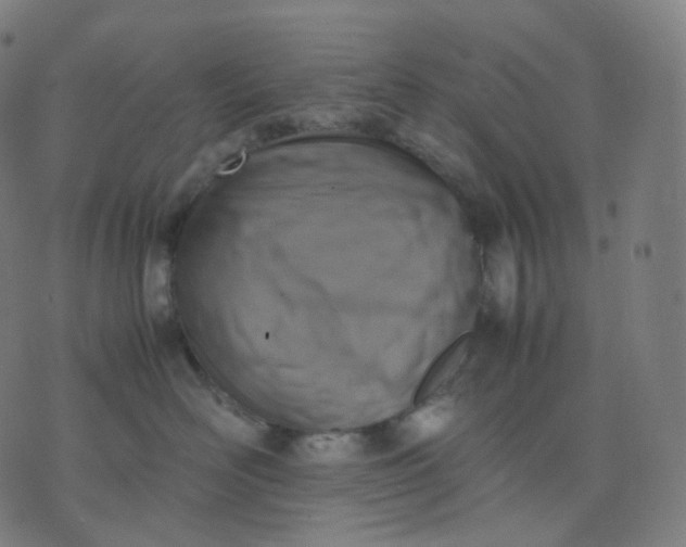 X0000070370526200606231650