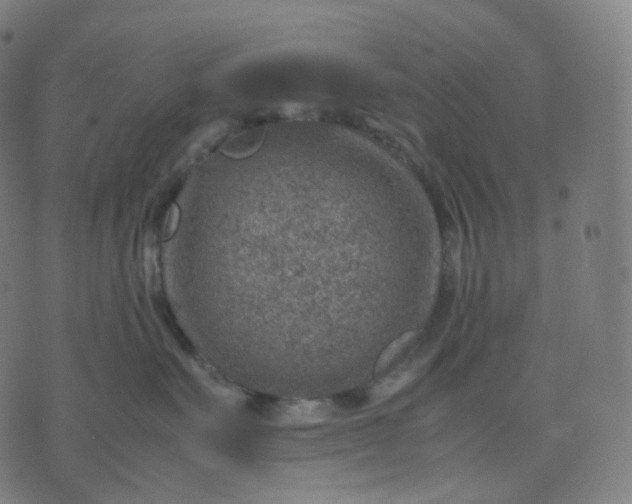 X0000070370527200606231650