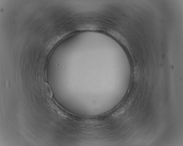 X0000070370529200606231649