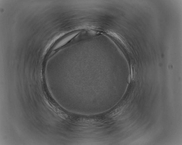 X0000070370531200606231649