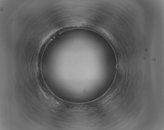 X0000070370532200606231649